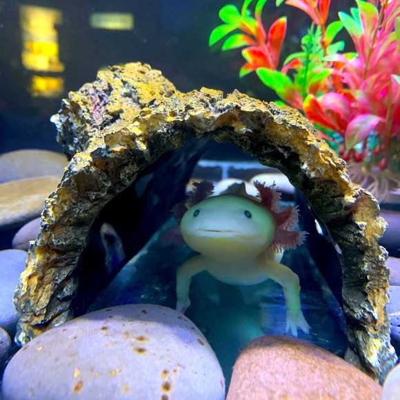 Thanks for checking out my closet! 🛍️💕 - Picture 1 of 2